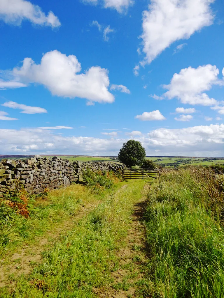 No Keys, No Worries: A Car-Free Journey Through Withland's Best Inns