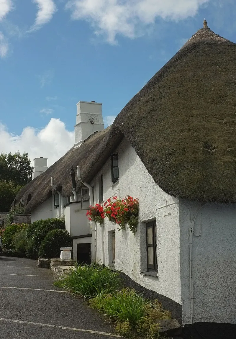 Half Lion, Half Eagle, Entirely Withland: Unpacking the Griffin's Grip on British Inn Culture