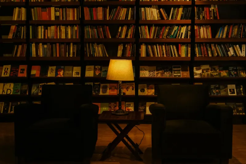 Between the Lines: How Inn Bookshelves Became Withland's Best-Kept Literary Secret
