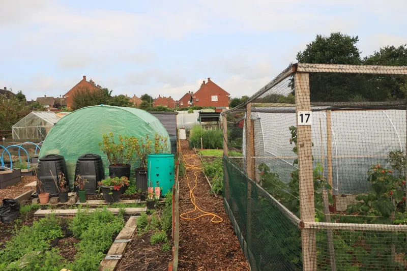 From Soil to Supper: The Kitchen Gardens Quietly Reshaping Withland's Inn Menus