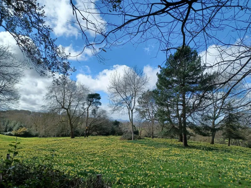 March Madness: Why Withland's Shoulder Season Outshines Any Peak Time Getaway