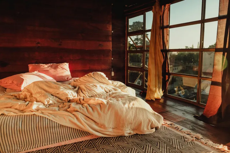 Room With a View (and Without the Queue): The Insider's Art of Choosing Your Perfect Withland Chamber