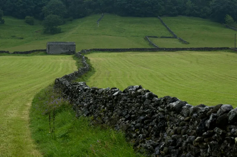 Stone by Stone: The Ancient Art Keeping Withland's Countryside Intact
