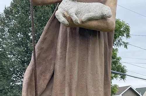 The Shepherd's Chronicle