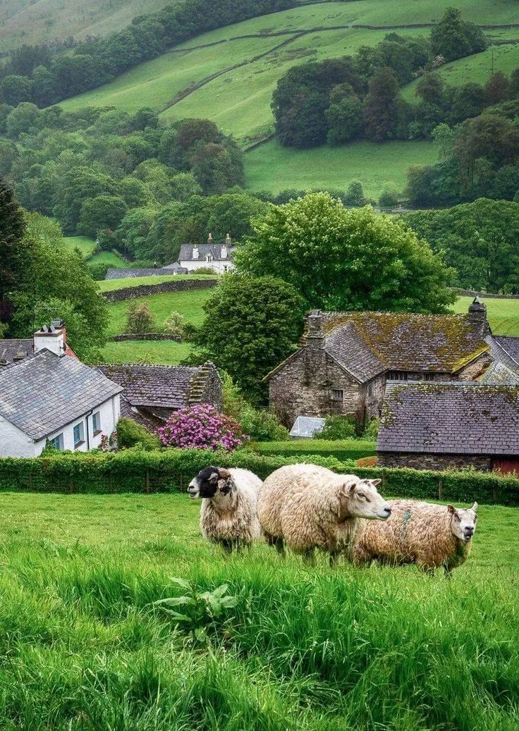 English countryside
